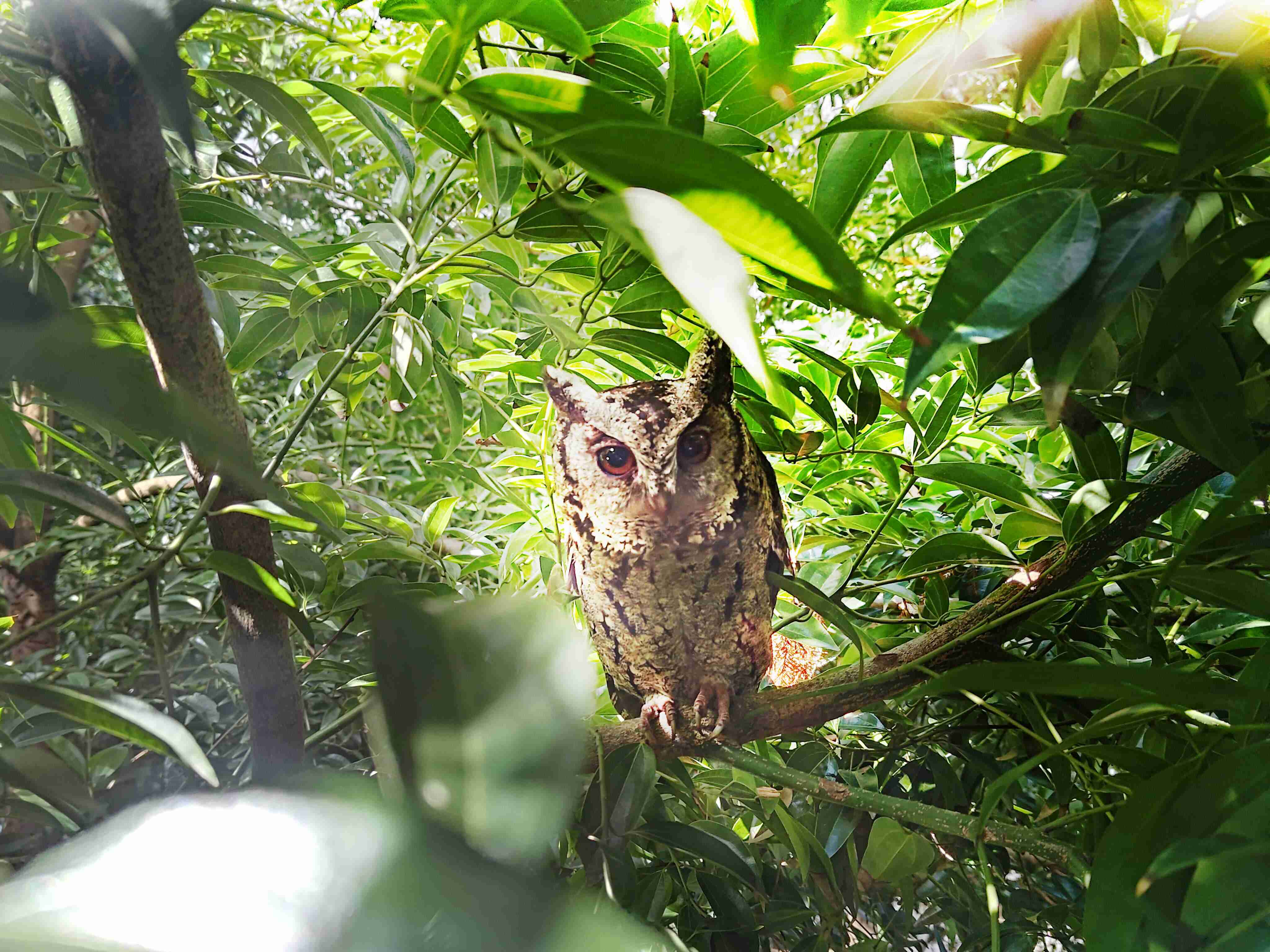 人生就是博致力提倡净零绿生活，，，，16年以来在全球各厂区植树逾百万棵，，，造就各厂区树木蔚然成林，，，，犹如森林工厂，，，成为许多生物的栖息地
